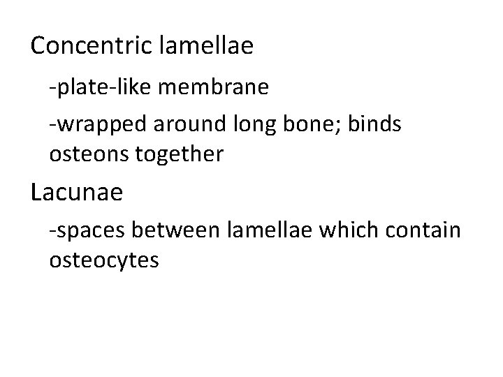 Concentric lamellae -plate-like membrane -wrapped around long bone; binds osteons together Lacunae -spaces between