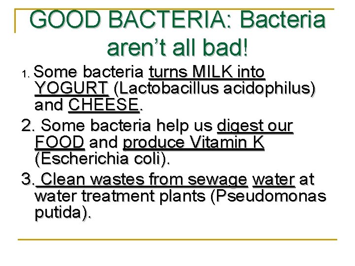 GOOD BACTERIA: Bacteria aren’t all bad! Some bacteria turns MILK into YOGURT (Lactobacillus acidophilus)