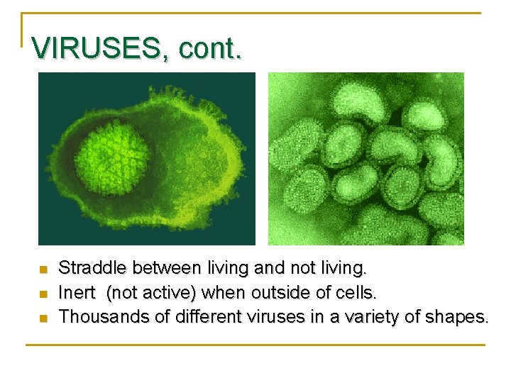 VIRUSES, cont. n n n Straddle between living and not living. Inert (not active)