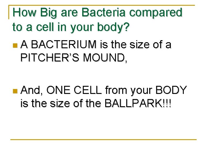 How Big are Bacteria compared to a cell in your body? n. A BACTERIUM