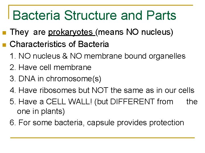 Bacteria Structure and Parts n n They are prokaryotes (means NO nucleus) Characteristics of