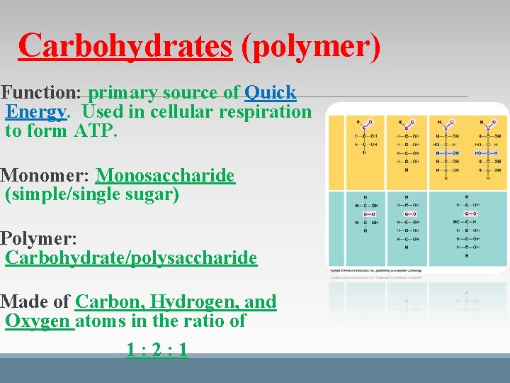 Carbohydrates (polymer) Function: primary source of Quick Energy. Used in cellular respiration to form Carbohydrates (polymer) Function: primary source of Quick Energy. Used in cellular respiration to form