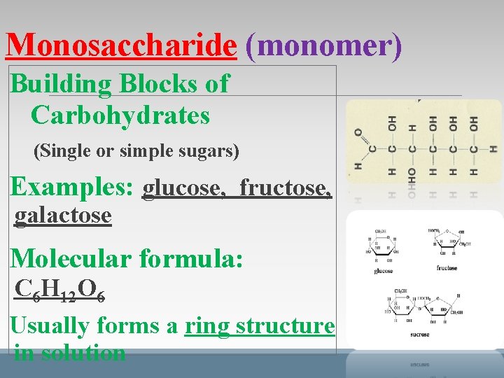 Monosaccharide (monomer) Building Blocks of Carbohydrates (Single or simple sugars) Examples: glucose, fructose, galactose Monosaccharide (monomer) Building Blocks of Carbohydrates (Single or simple sugars) Examples: glucose, fructose, galactose