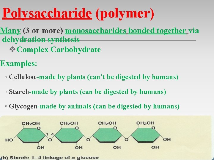 Polysaccharide (polymer) Many (3 or more) monosaccharides bonded together via dehydration synthesis v. Complex Polysaccharide (polymer) Many (3 or more) monosaccharides bonded together via dehydration synthesis v. Complex