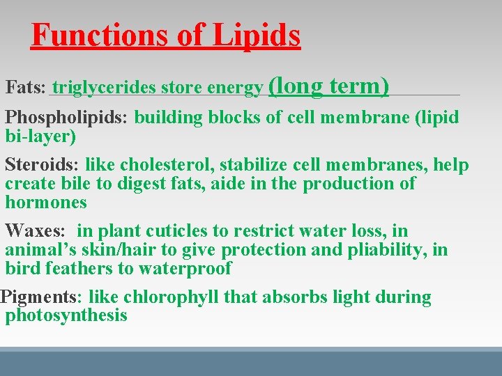 Functions of Lipids Fats: triglycerides store energy (long term) Phospholipids: building blocks of cell Functions of Lipids Fats: triglycerides store energy (long term) Phospholipids: building blocks of cell