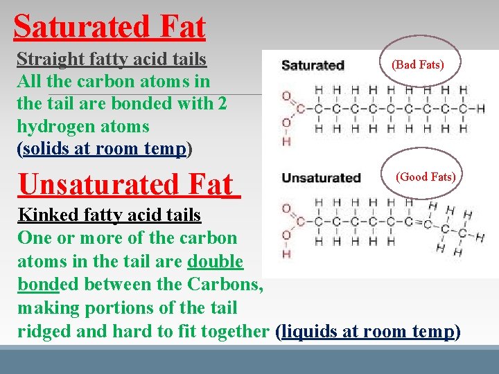 Saturated Fat Straight fatty acid tails All the carbon atoms in the tail are Saturated Fat Straight fatty acid tails All the carbon atoms in the tail are