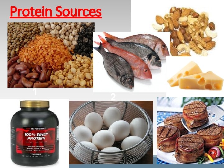 Protein Sources 1 2 3 Protein Sources 1 2 3