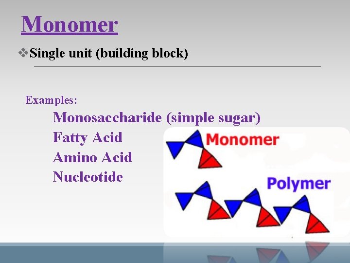 Monomer v. Single unit (building block) Examples: Monosaccharide (simple sugar) Fatty Acid Amino Acid Monomer v. Single unit (building block) Examples: Monosaccharide (simple sugar) Fatty Acid Amino Acid