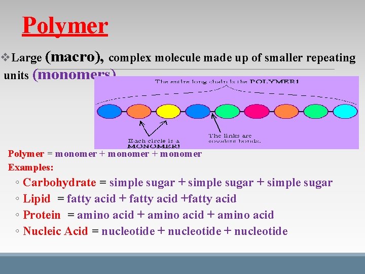 Polymer v. Large (macro), complex molecule made up of smaller repeating units (monomers) Polymer Polymer v. Large (macro), complex molecule made up of smaller repeating units (monomers) Polymer