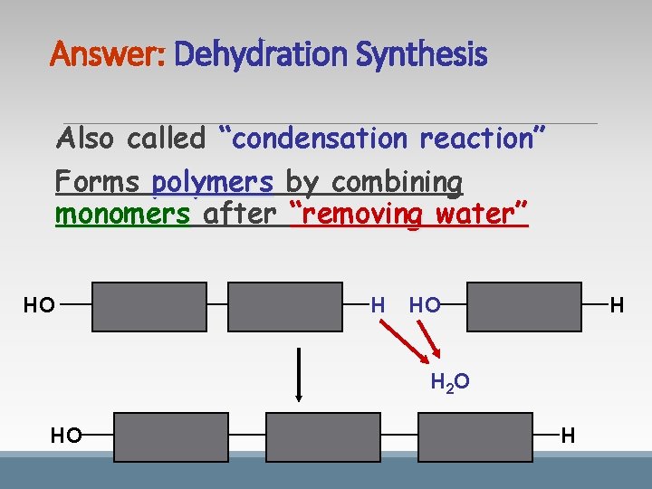 Answer: Dehydration Synthesis Also called “condensation reaction” Forms polymers by combining monomers after “removing Answer: Dehydration Synthesis Also called “condensation reaction” Forms polymers by combining monomers after “removing