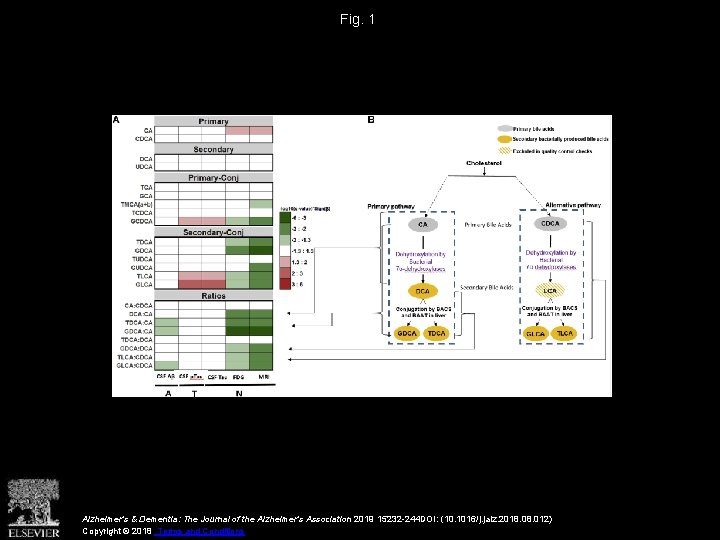 Fig. 1 Alzheimer's & Dementia: The Journal of the Alzheimer's Association 2019 15232 -244