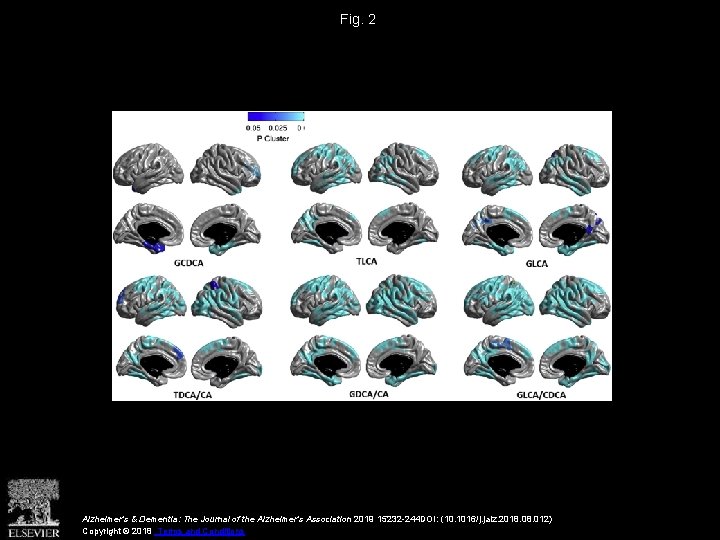 Fig. 2 Alzheimer's & Dementia: The Journal of the Alzheimer's Association 2019 15232 -244