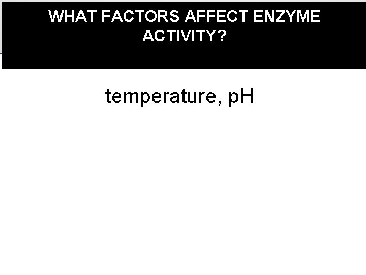 WHAT FACTORS AFFECT ENZYME ACTIVITY? temperature, p. H 