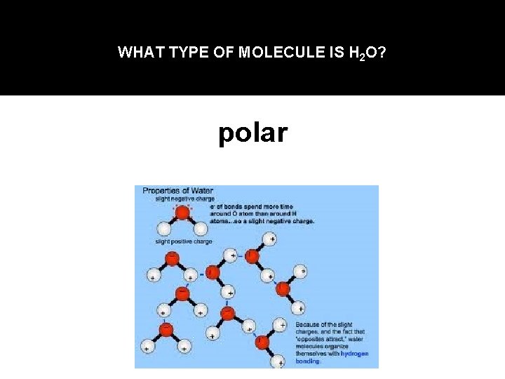 WHAT TYPE OF MOLECULE IS H 2 O? polar 