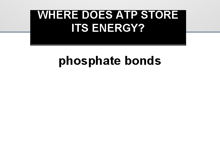 WHERE DOES ATP STORE ITS ENERGY? phosphate bonds 
