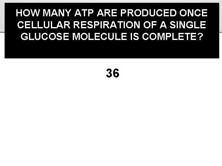 HOW MANY ATP ARE PRODUCED ONCE CELLULAR RESPIRATION OF A SINGLE GLUCOSE MOLECULE IS