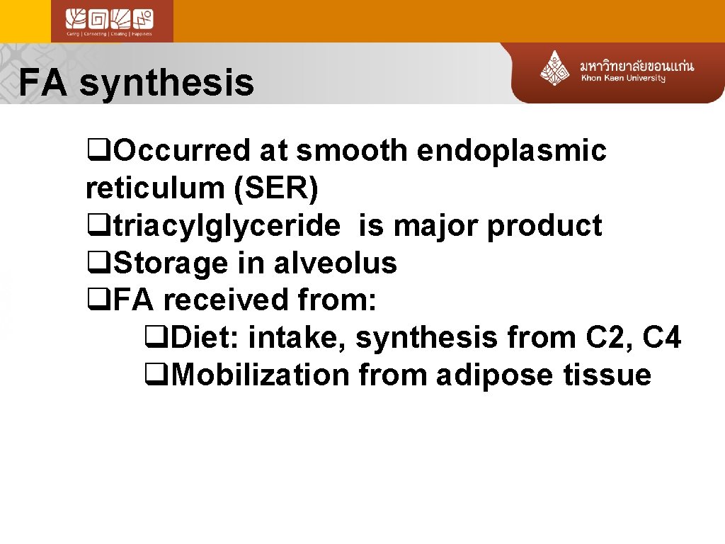 FA synthesis q. Occurred at smooth endoplasmic reticulum (SER) qtriacylglyceride is major product q.