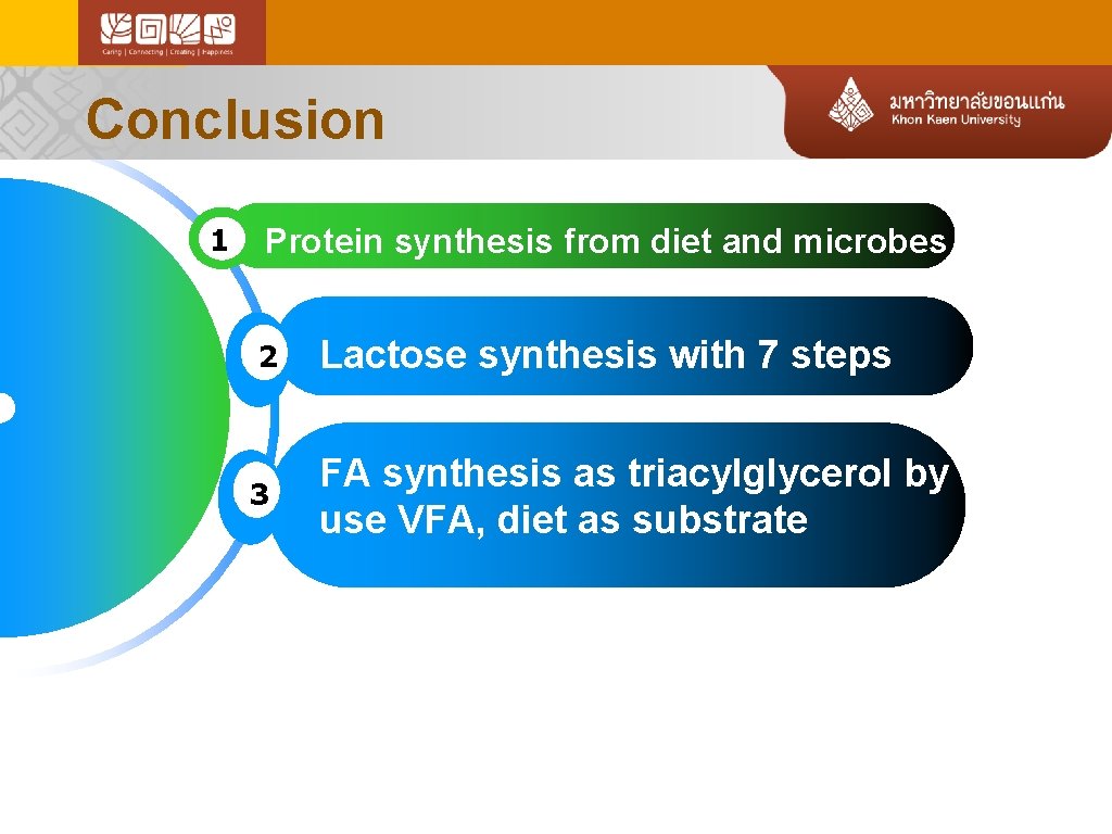 Conclusion 1 Protein synthesis from diet and microbes 2 Lactose synthesis with 7 steps