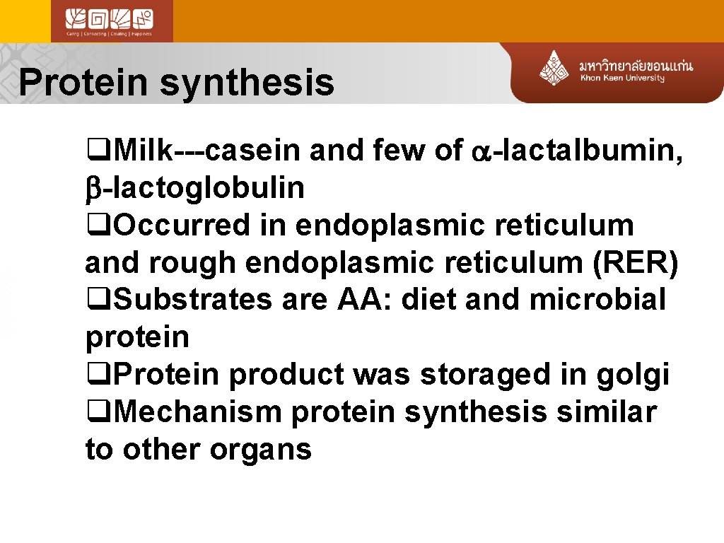 Protein synthesis q. Milk---casein and few of -lactalbumin, -lactoglobulin q. Occurred in endoplasmic reticulum