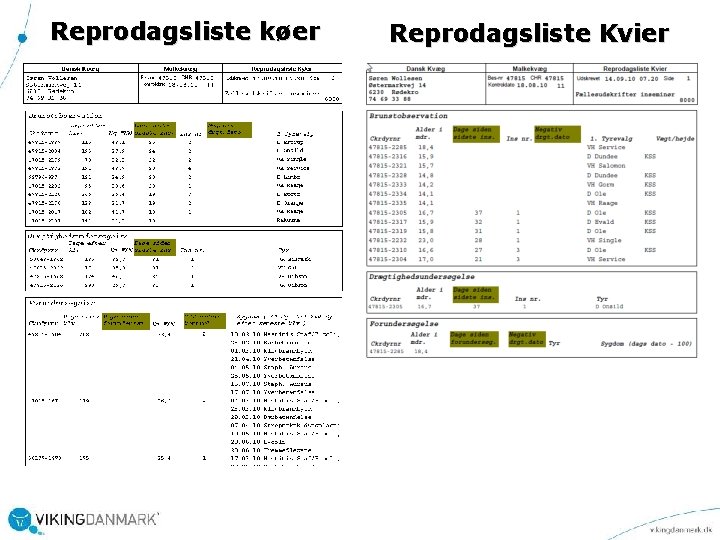 Reprodagsliste køer Reprodagsliste Kvier 