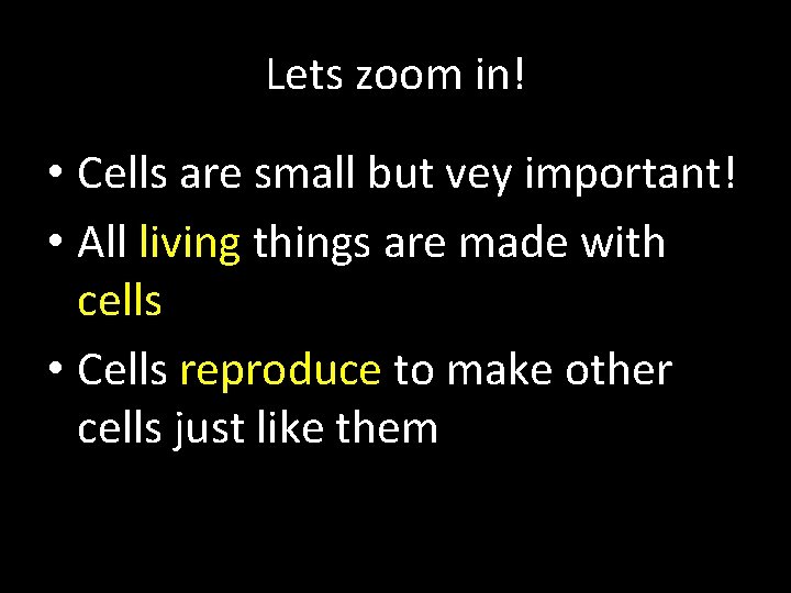Lets zoom in! • Cells are small but vey important! • All living things