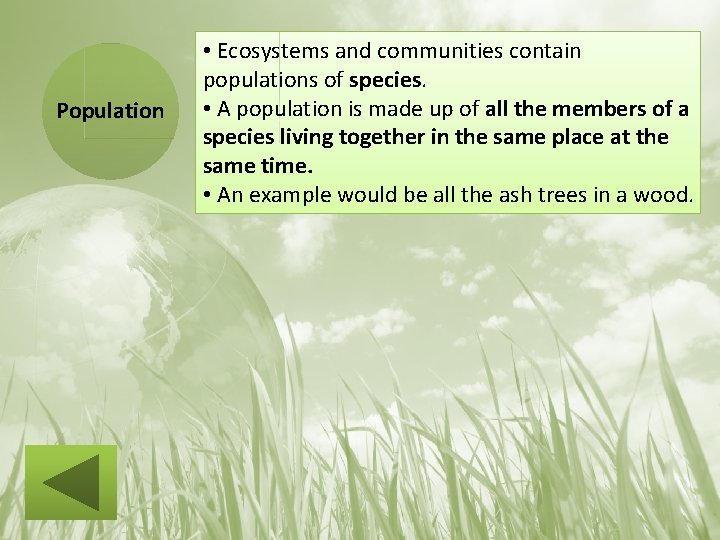 Population • Ecosystems and communities contain populations of species. • A population is made