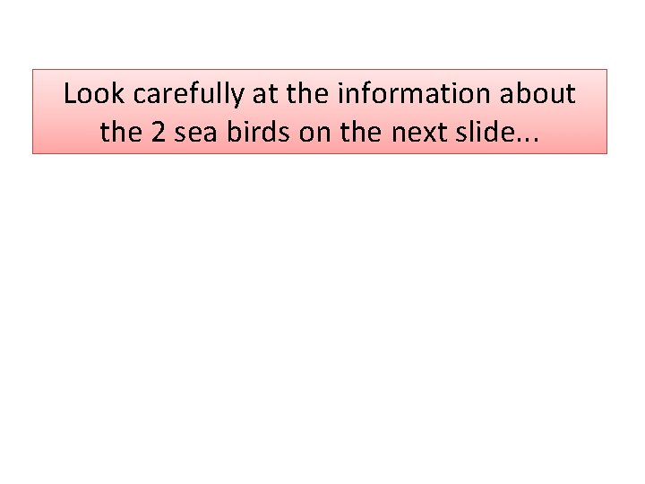 Look carefully at the information about the 2 sea birds on the next slide.