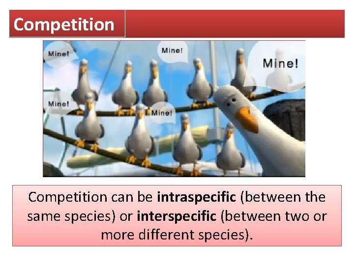 Competition can be intraspecific (between the same species) or interspecific (between two or more