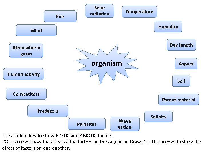 Fire Solar radiation Temperature Humidity Wind Day length Atmospheric gases organism Aspect Human activity