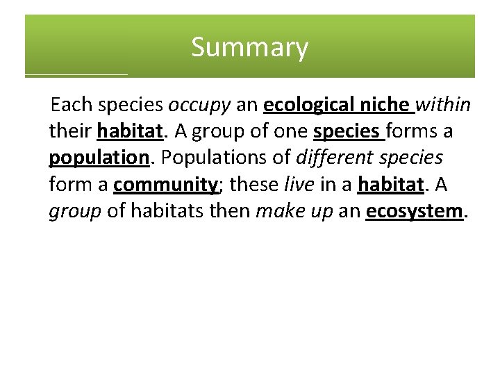 Summary Each species occupy an ecological niche within their habitat. A group of one