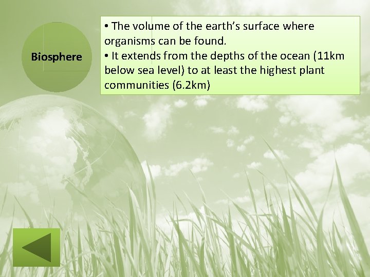 Biosphere • The volume of the earth’s surface where organisms can be found. •