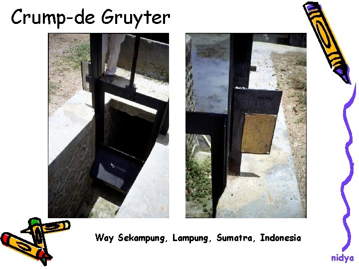 Crump-de Gruyter Way Sekampung, Lampung, Sumatra, Indonesia nidya 