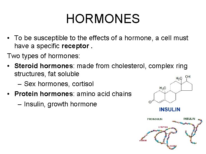 HORMONES • To be susceptible to the effects of a hormone, a cell must