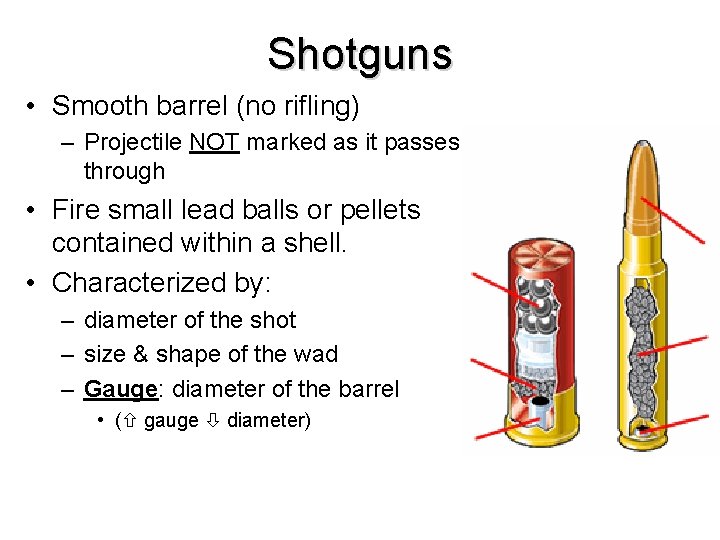 Shotguns • Smooth barrel (no rifling) – Projectile NOT marked as it passes through