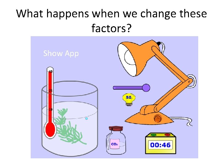 What happens when we change these factors? Show App 