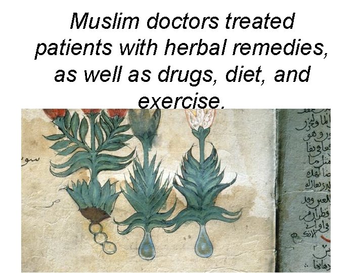 Muslim doctors treated patients with herbal remedies, as well as drugs, diet, and exercise.