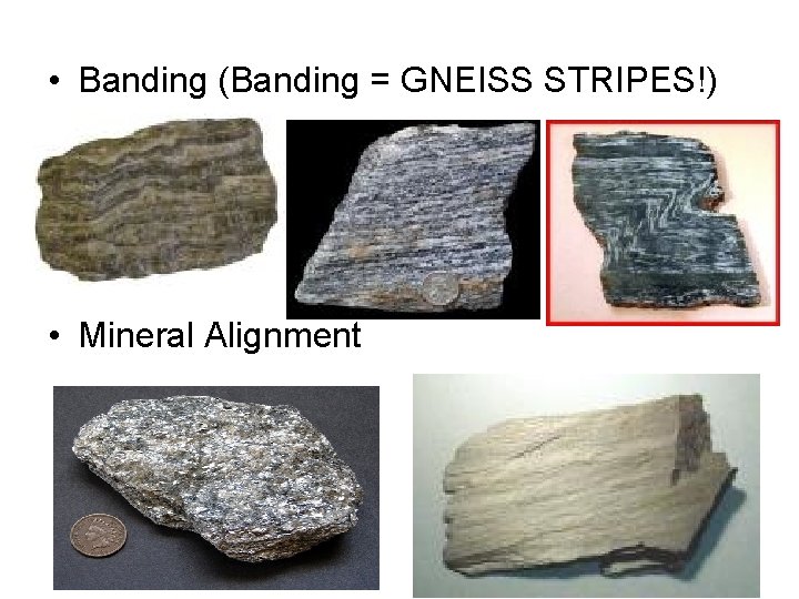  • Banding (Banding = GNEISS STRIPES!) • Mineral Alignment 