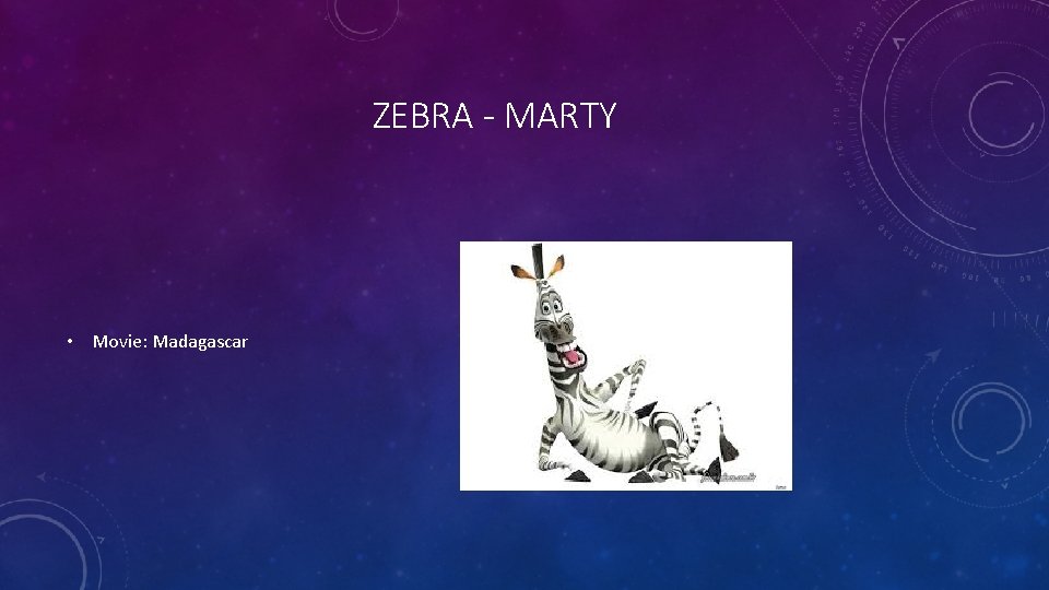 ZEBRA - MARTY • Movie: Madagascar 