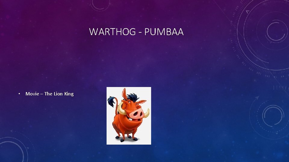 WARTHOG - PUMBAA • Movie – The Lion King 