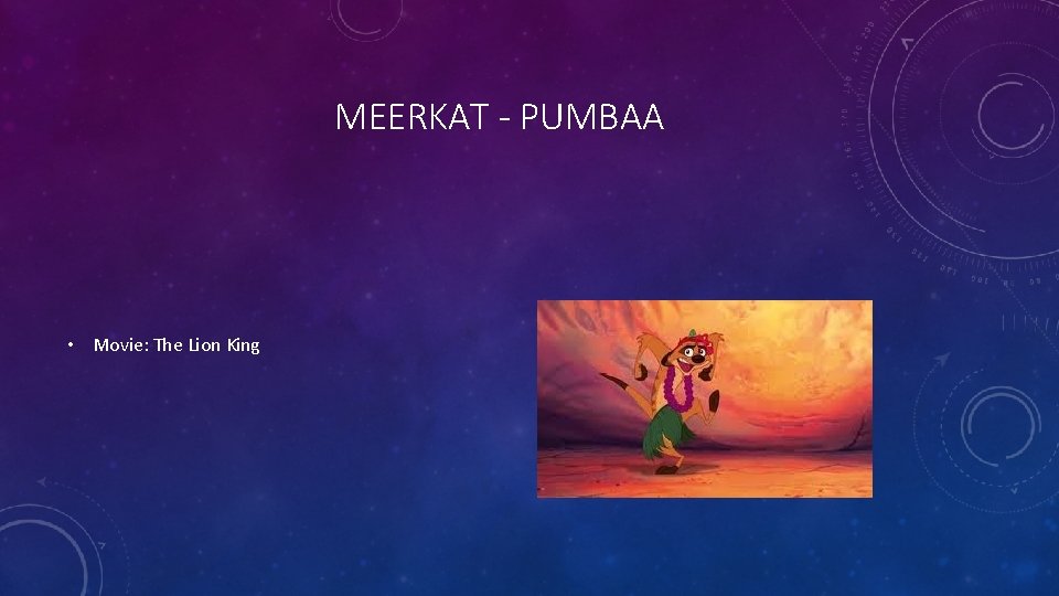 MEERKAT - PUMBAA • Movie: The Lion King 