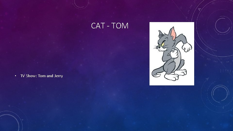 CAT - TOM • TV Show: Tom and Jerry 