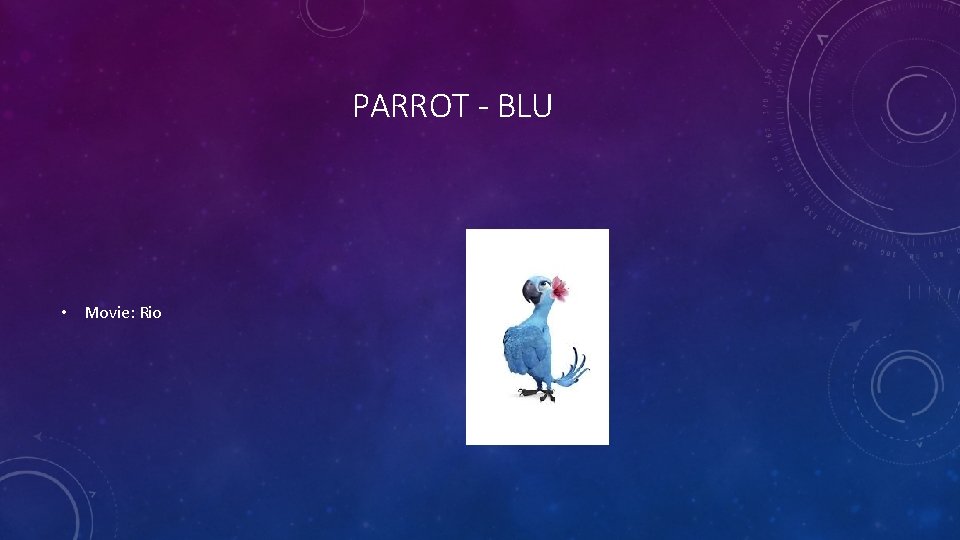 PARROT - BLU • Movie: Rio 