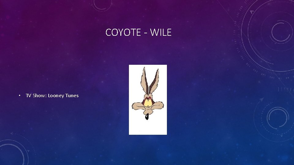 COYOTE - WILE • TV Show: Looney Tunes 