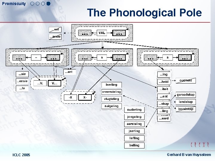 Promiscuity The Phonological Pole ICLC 2005 Gerhard B van Huyssteen 