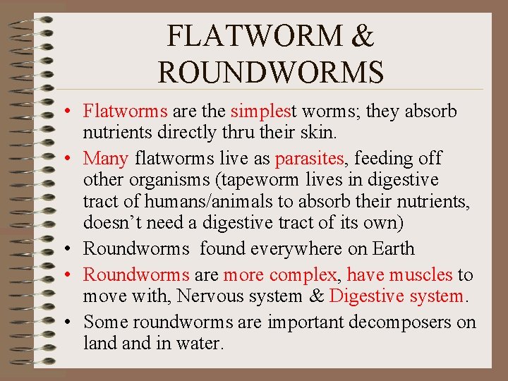 FLATWORM & ROUNDWORMS • Flatworms are the simplest worms; they absorb nutrients directly thru