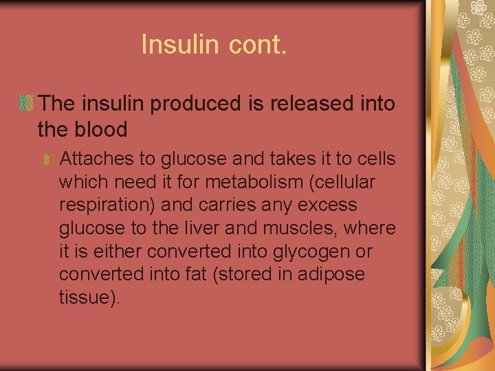 Insulin cont. The insulin produced is released into the blood Attaches to glucose and