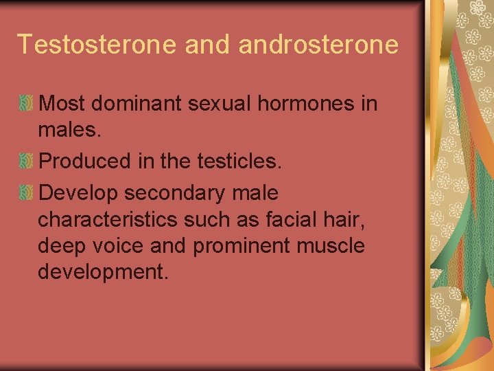 Testosterone androsterone Most dominant sexual hormones in males. Produced in the testicles. Develop secondary