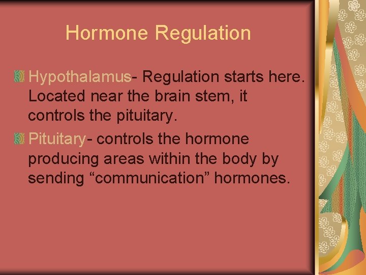 Hormone Regulation Hypothalamus- Regulation starts here. Located near the brain stem, it controls the