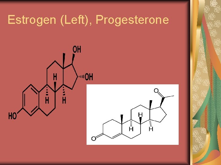 Estrogen (Left), Progesterone 