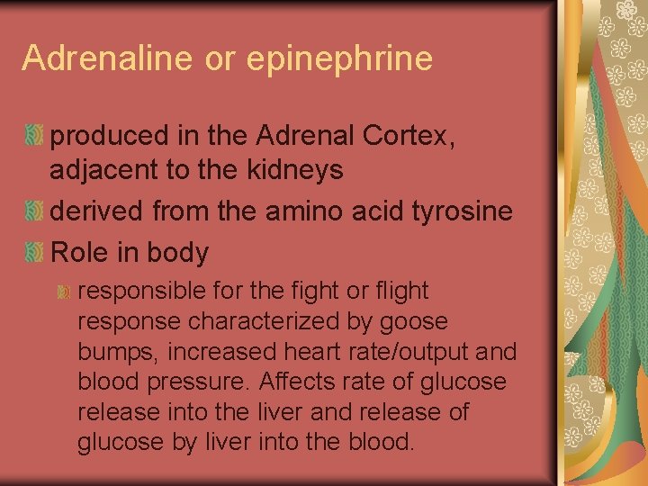 Adrenaline or epinephrine produced in the Adrenal Cortex, adjacent to the kidneys derived from